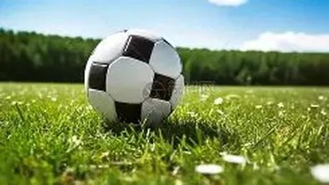 MG电子 资讯 142603 y4r