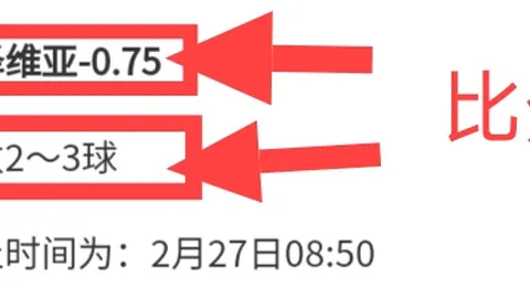 激情对决：德比郡与西布罗姆维奇英冠焦点战深度剖析！